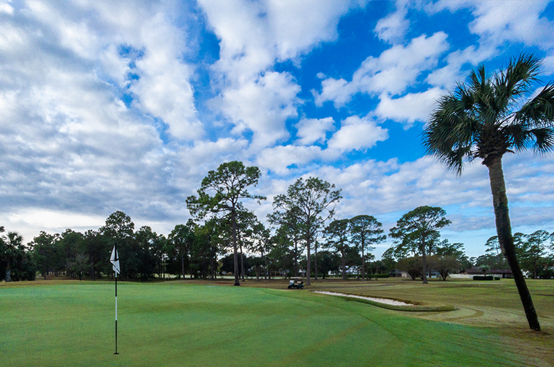 view of golf course green with flag