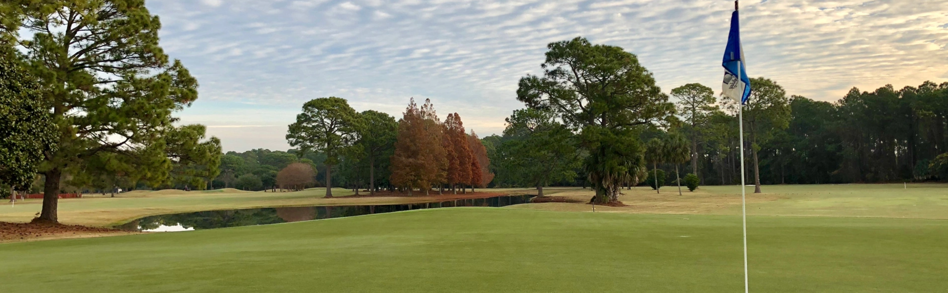 view of golf course green